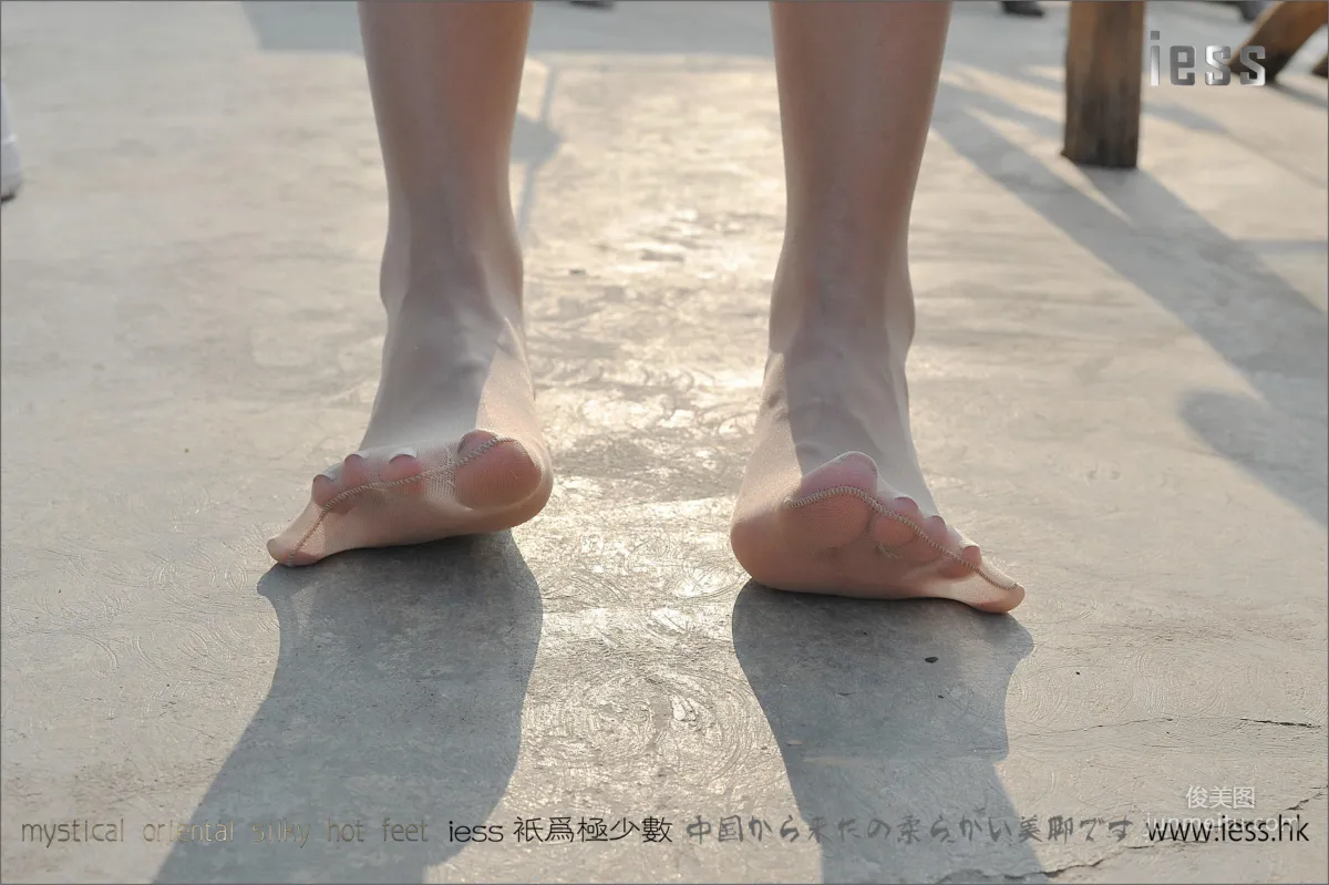 Sasa: IESS No. 037 photo 84