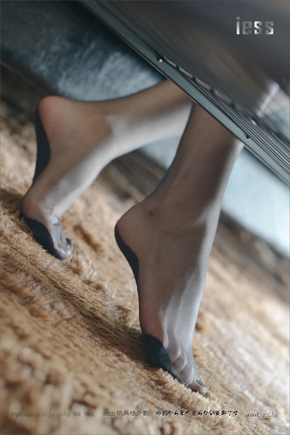 Xiao C: IESS No. 072 photo 61