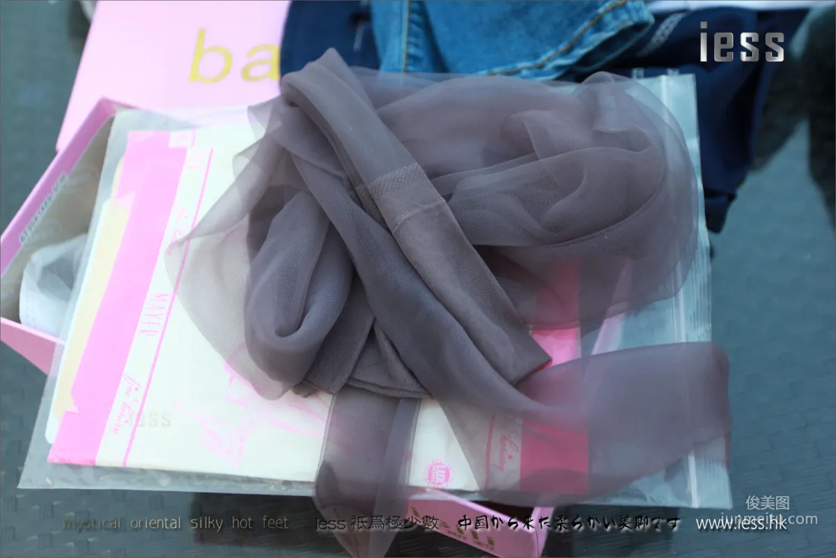 Silk Stockings Bento 089 Jia Ye, ES8 The Eighth Weapon [IESS] Photo Set photo 94