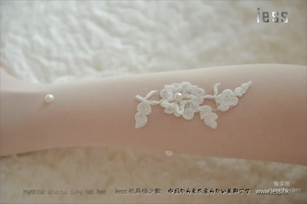 Silk Stockings Bento 083 Jia Jia Snow Lotus [IESS] Photo Set photo 37