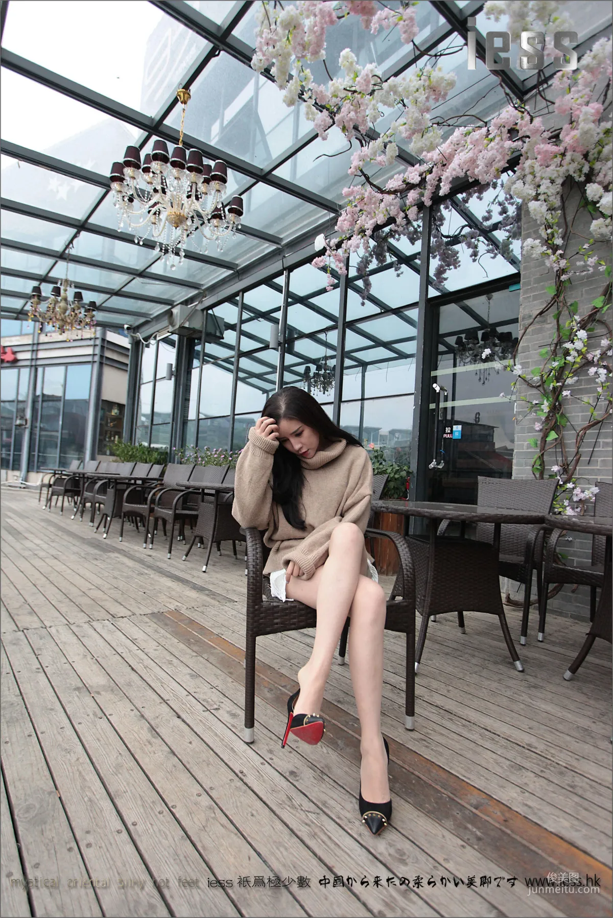 YY: IESS No. 039 photo 56