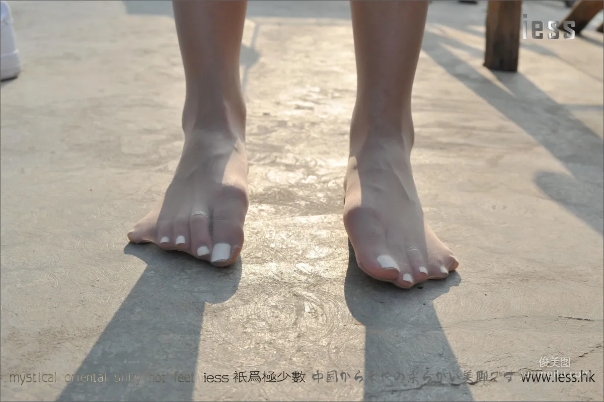 Sasa: IESS No. 037 photo 85