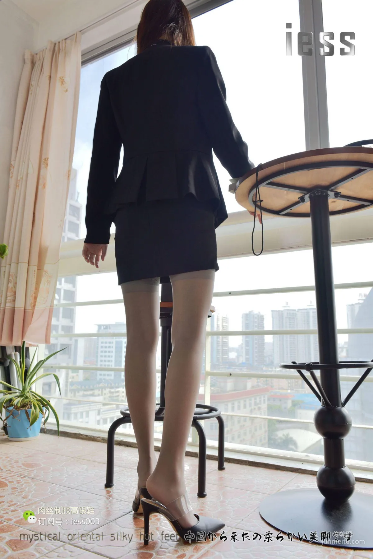 Wan Ping: IESS No. 008 photo 69