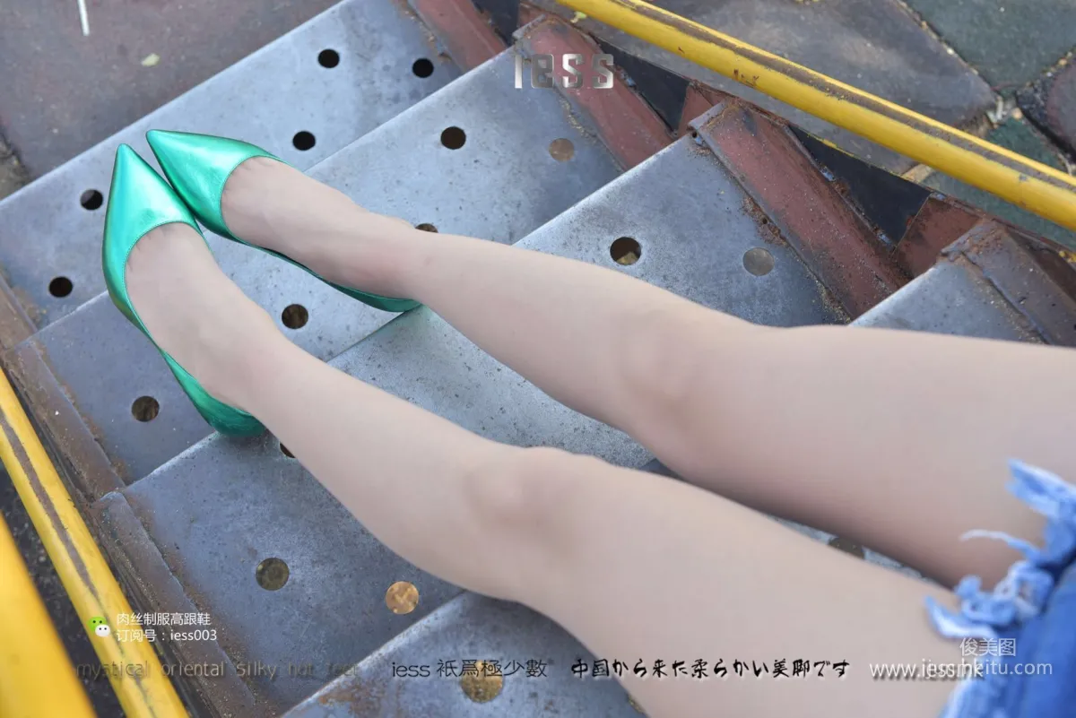 Lama Junjun and Jun Jun: IESS No. 014 photo 21