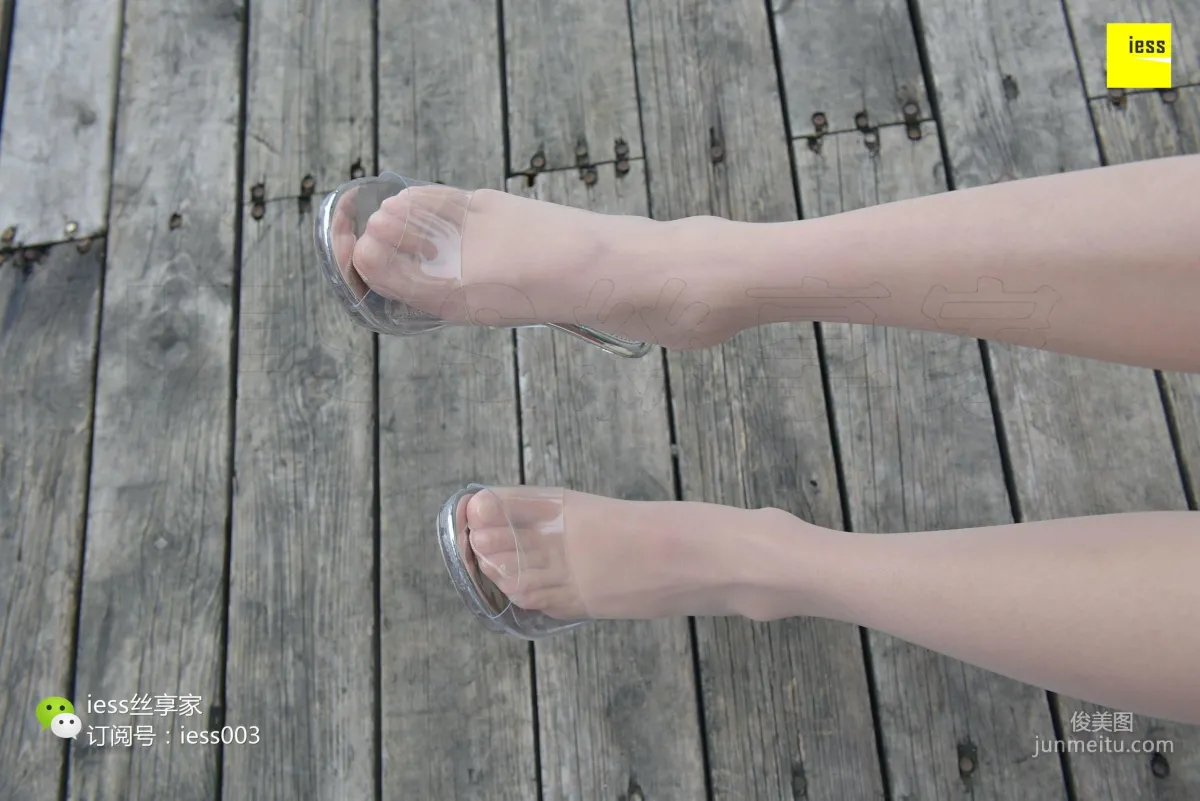 Wan Ping: IESS No. 025 photo 63