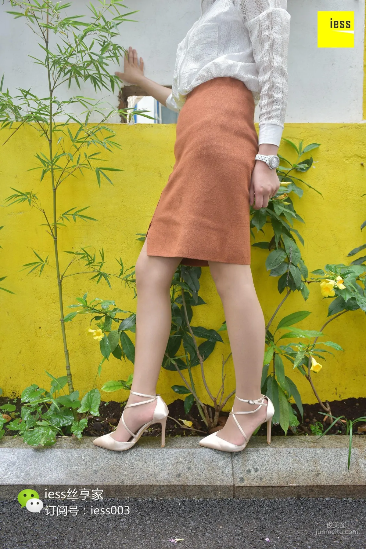 Mo Xuan: IESS No. 024 photo 51