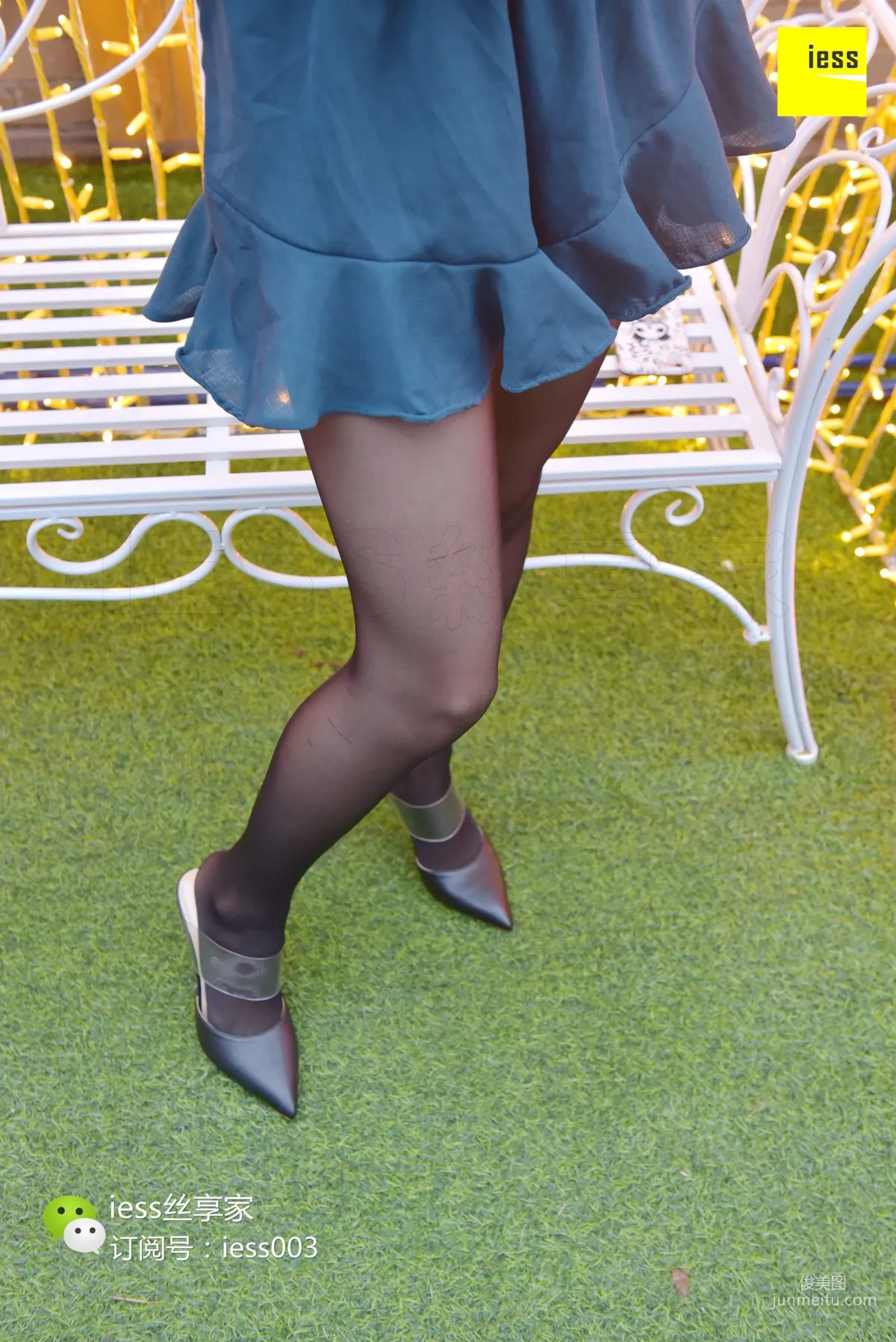 Wan Ping: IESS No. 029 photo 4