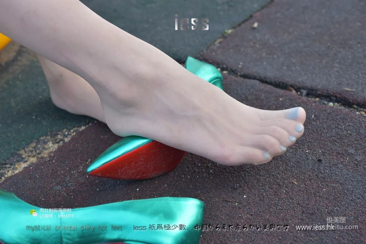 Lama Junjun and Jun Jun: IESS No. 014 photo 77