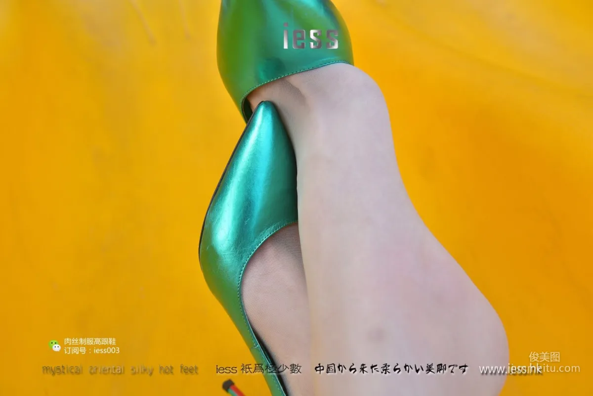 Lama Junjun and Jun Jun: IESS No. 014 photo 63