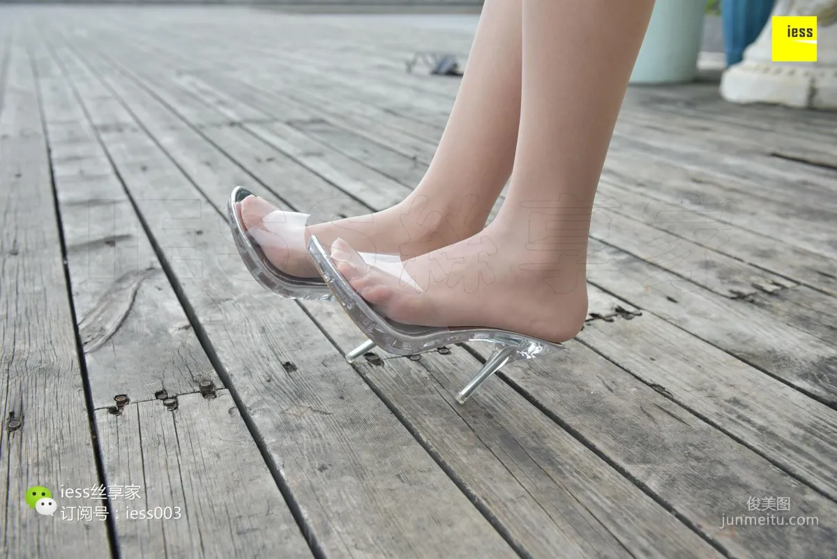 Wan Ping: IESS No. 025 photo 16