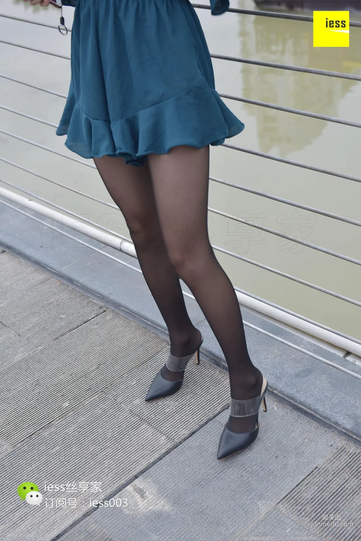 Wan Ping: IESS No. 029 photo 16