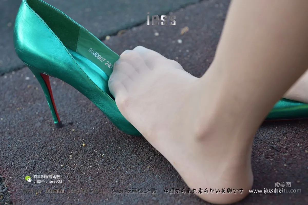 Lama Junjun and Jun Jun: IESS No. 014 photo 79