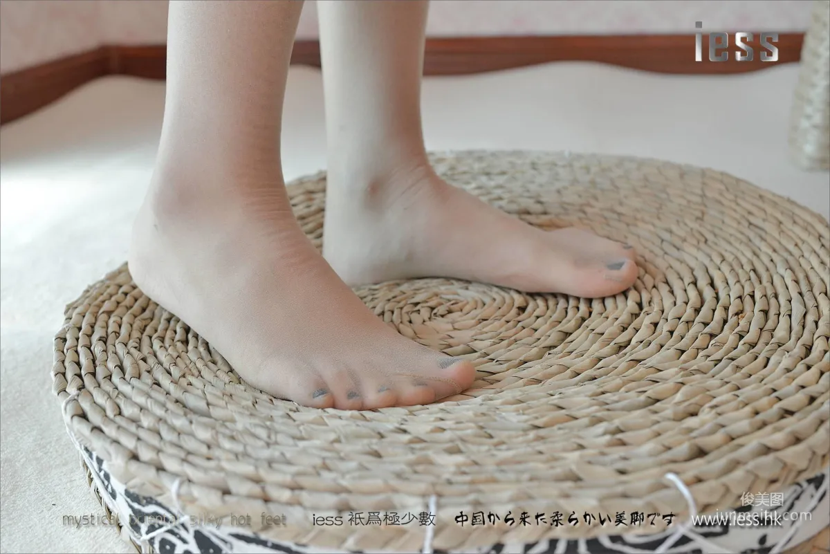 Xiao C: IESS No. 004 photo 49