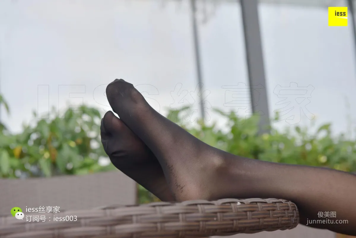Wan Ping: IESS No. 020 photo 94