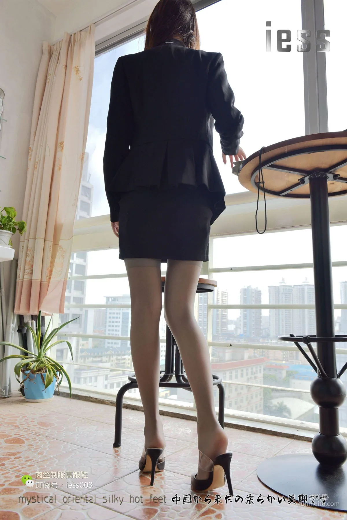 Wan Ping: IESS No. 008 photo 68