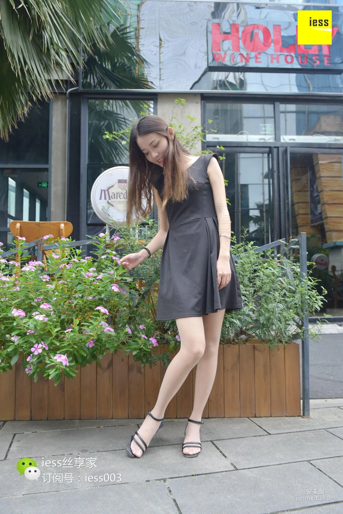 Wan Ping: IESS No. 056 photo 57