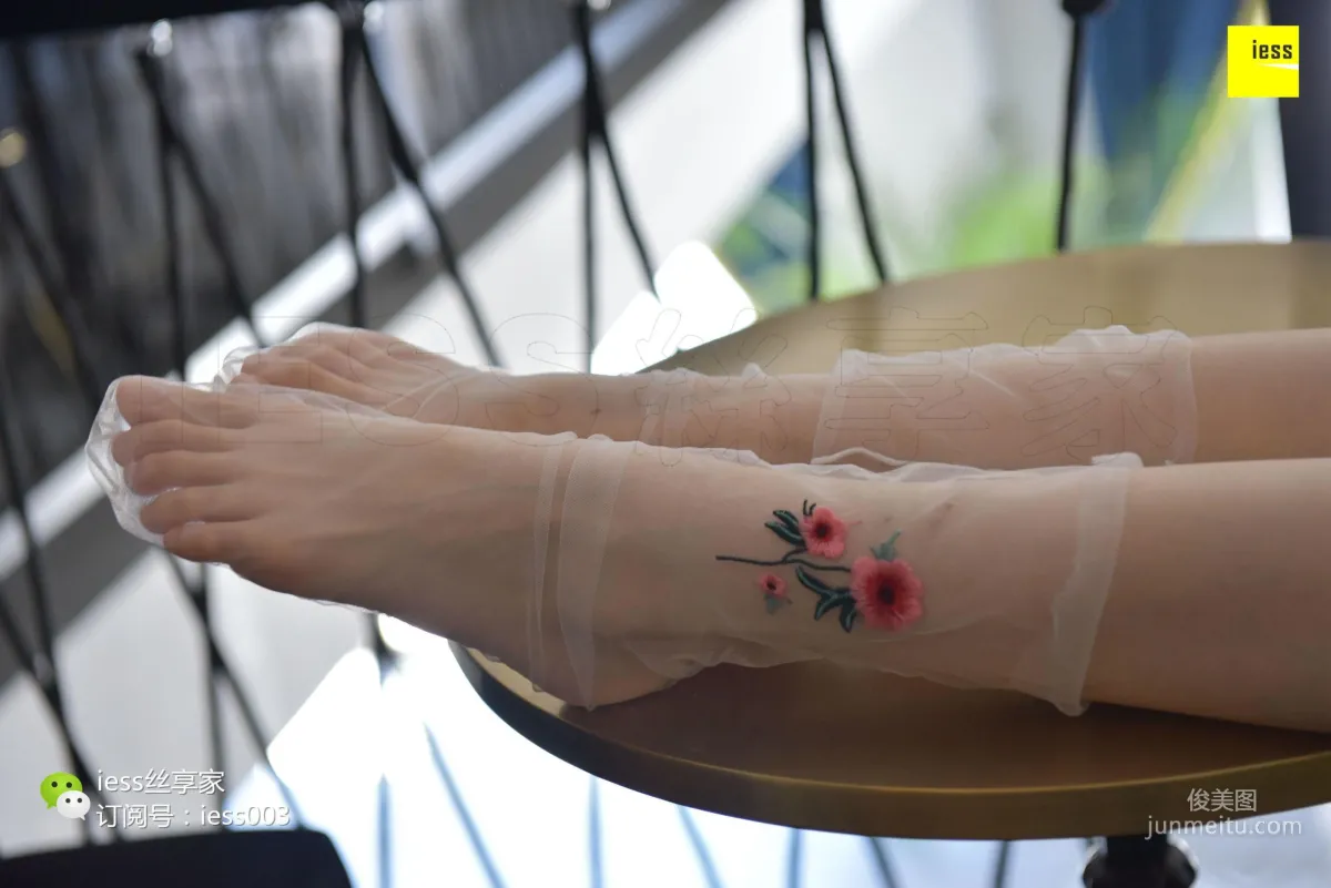 Silk Enjoyer 050 Jia Jia "Jia Jia Jia Ye" [IESS] Photo Set photo 52