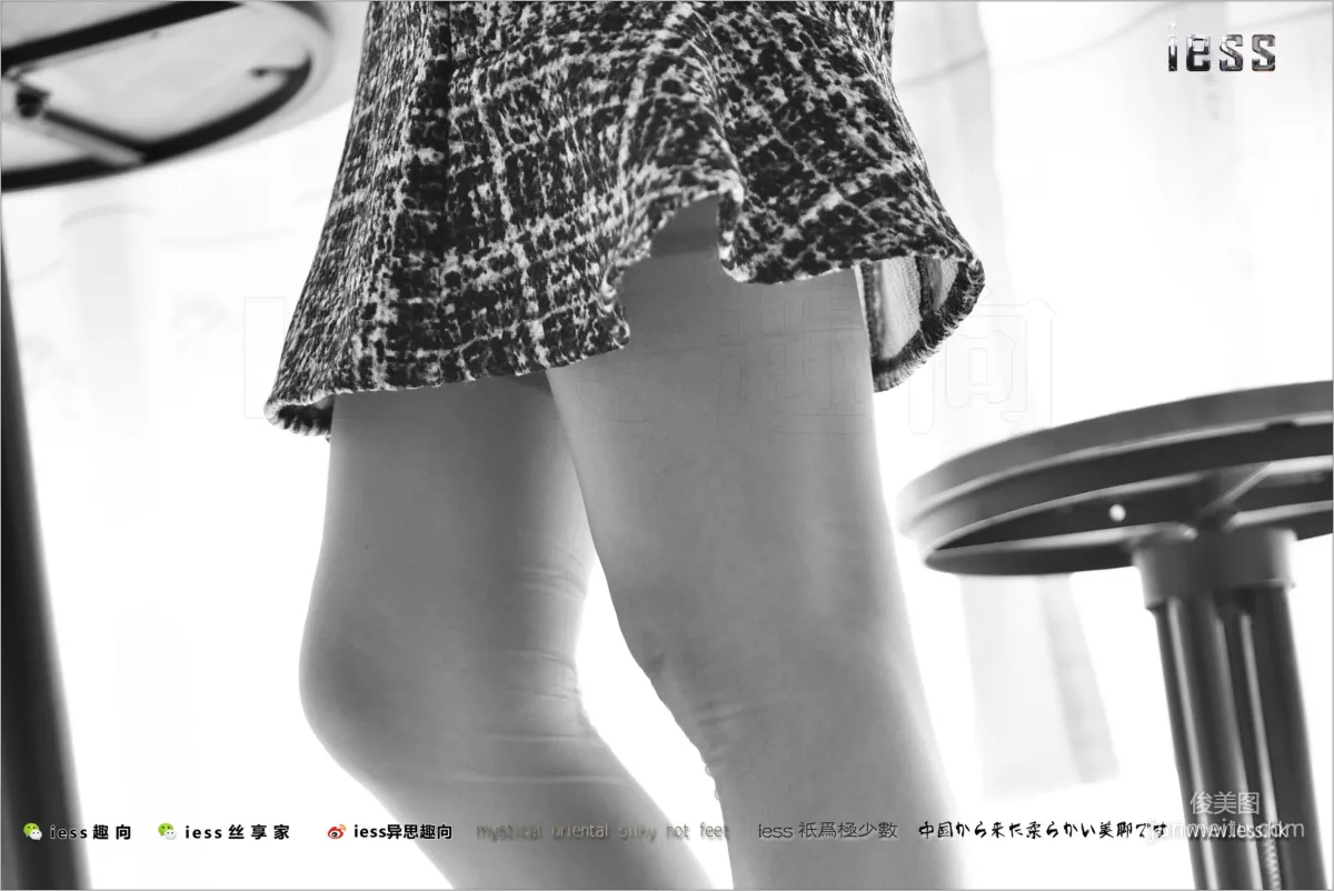 Wei Wei: IESS No. 142 photo 60