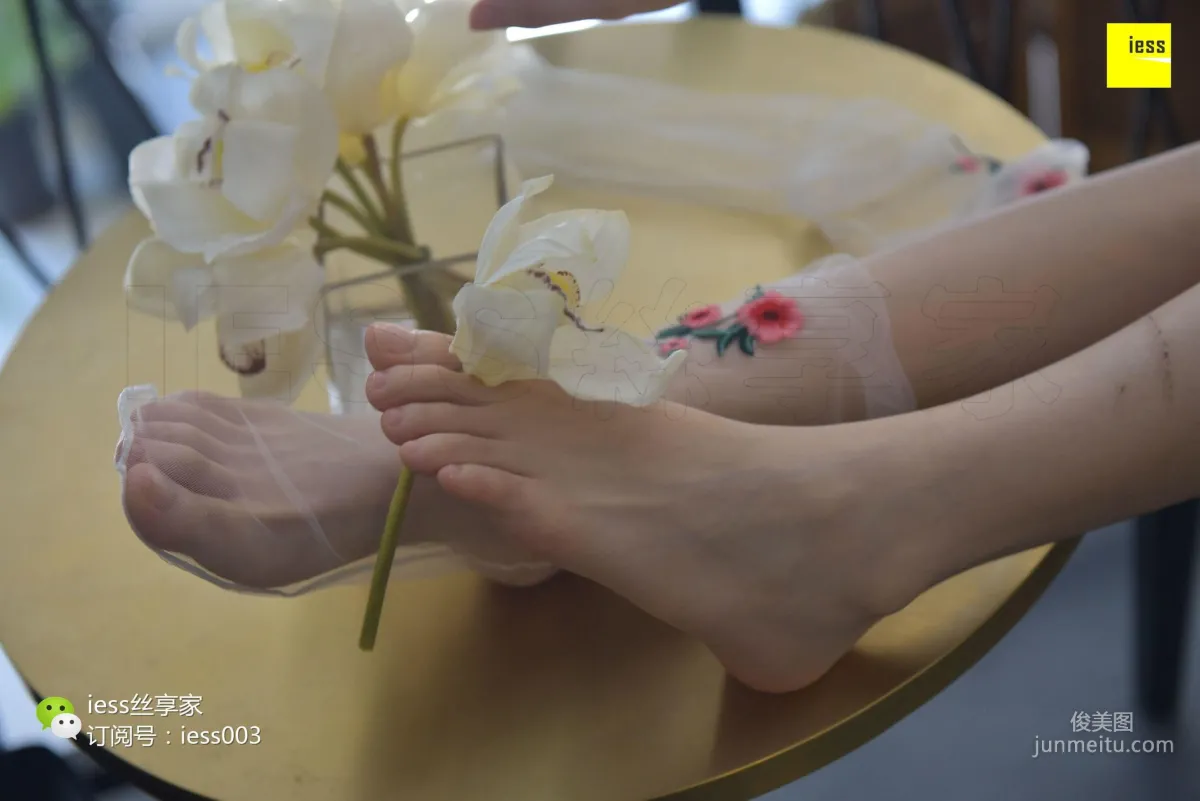 Silk Enjoyer 050 Jia Jia "Jia Jia Jia Ye" [IESS] Photo Set photo 81