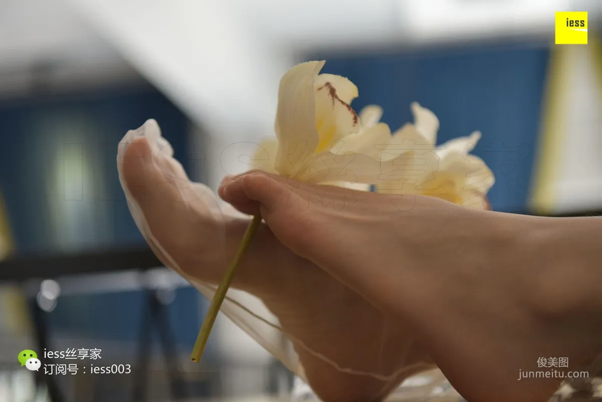 Silk Enjoyer 050 Jia Jia "Jia Jia Jia Ye" [IESS] Photo Set photo 91