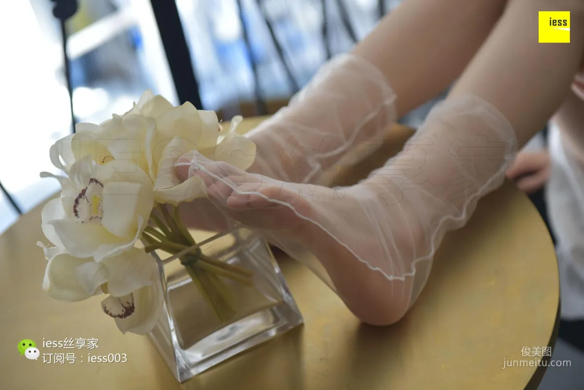 Silk Enjoyer 050 Jia Jia "Jia Jia Jia Ye" [IESS] Photo Set photo 64