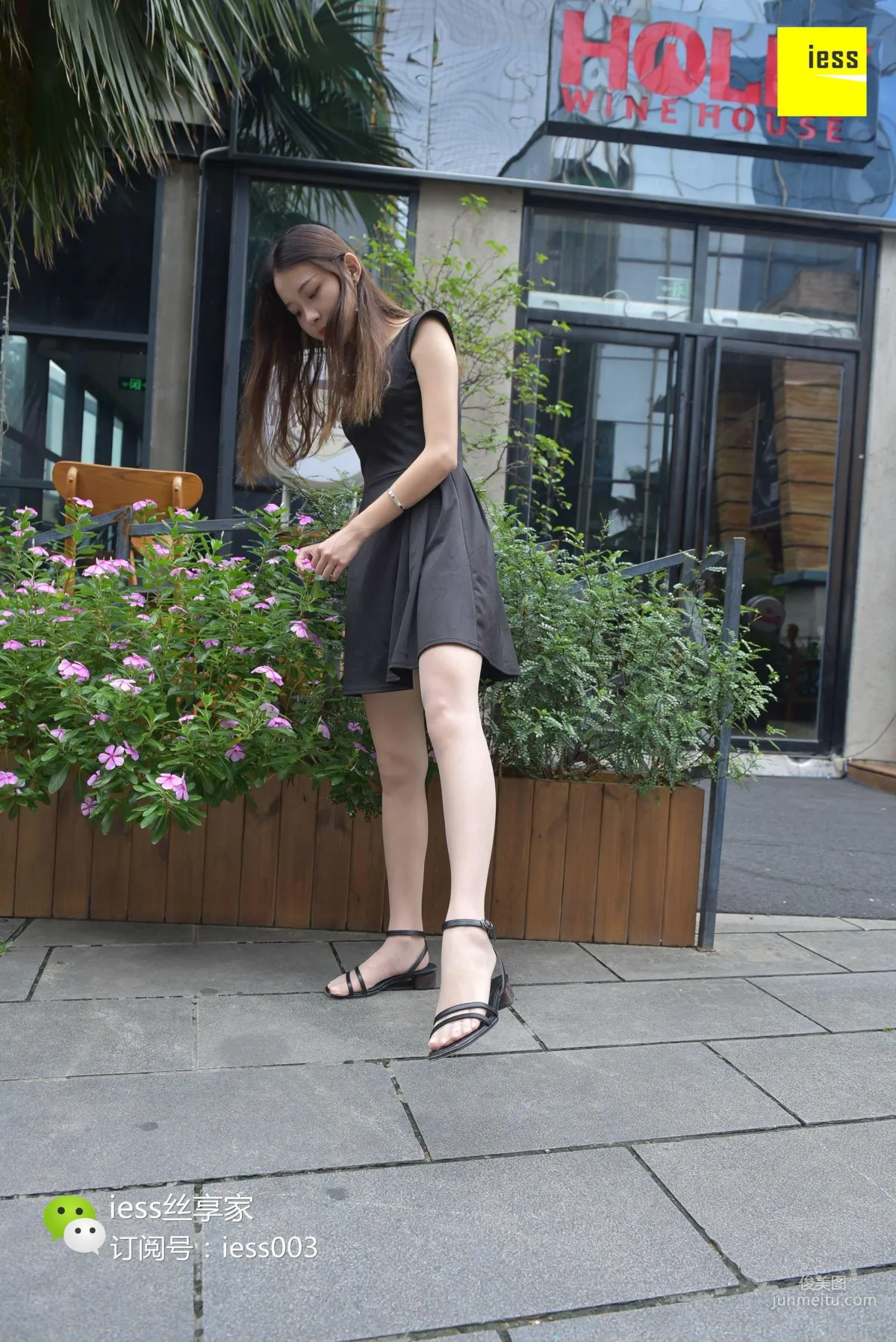 Wan Ping: IESS No. 056 photo 59