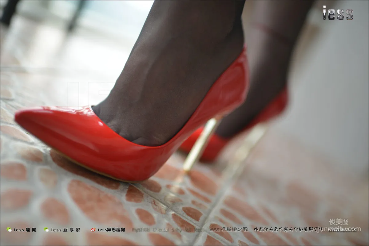 Fei Fei: IESS No. 147 photo 1