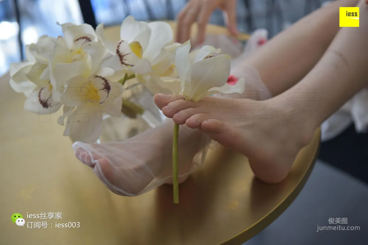 Silk Enjoyer 050 Jia Jia "Jia Jia Jia Ye" [IESS] Photo Set photo 82