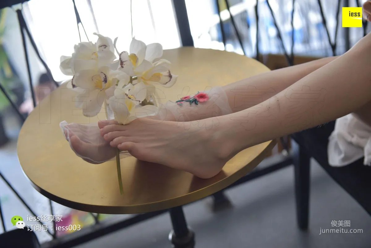 Silk Enjoyer 050 Jia Jia "Jia Jia Jia Ye" [IESS] Photo Set photo 87