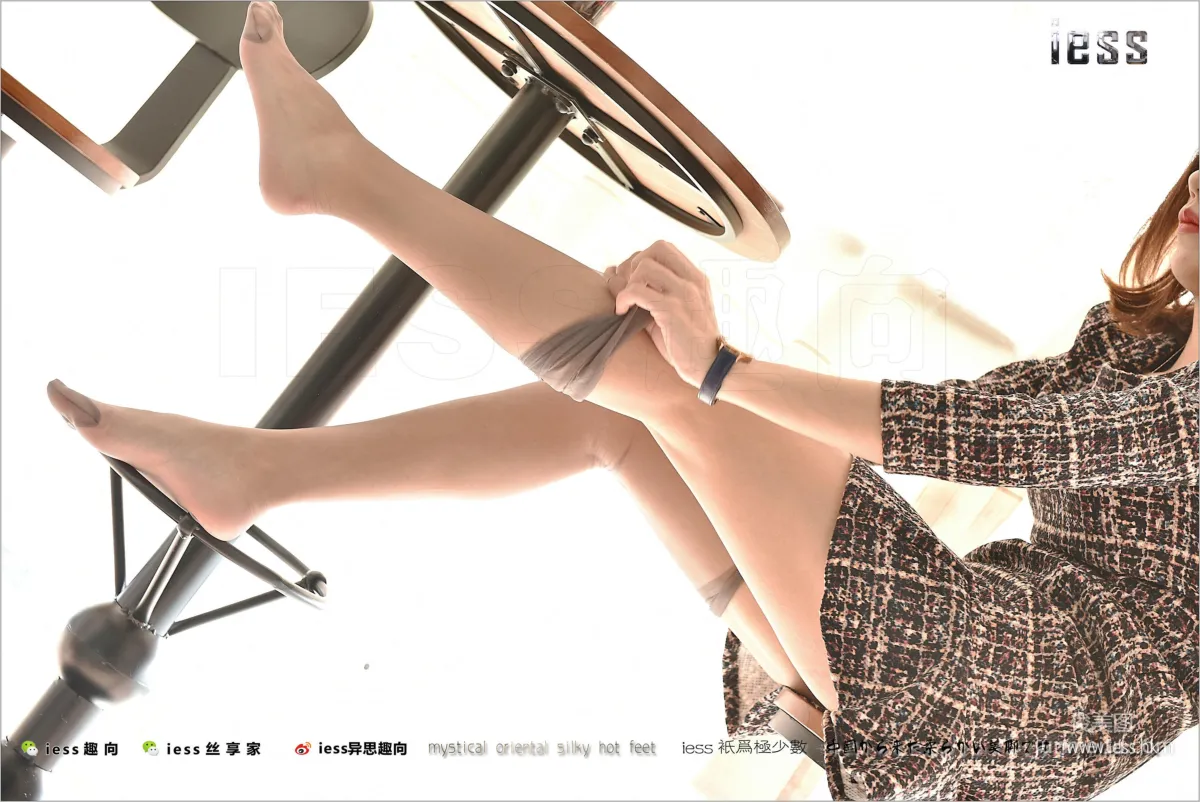 Wei Wei: IESS No. 142 photo 8