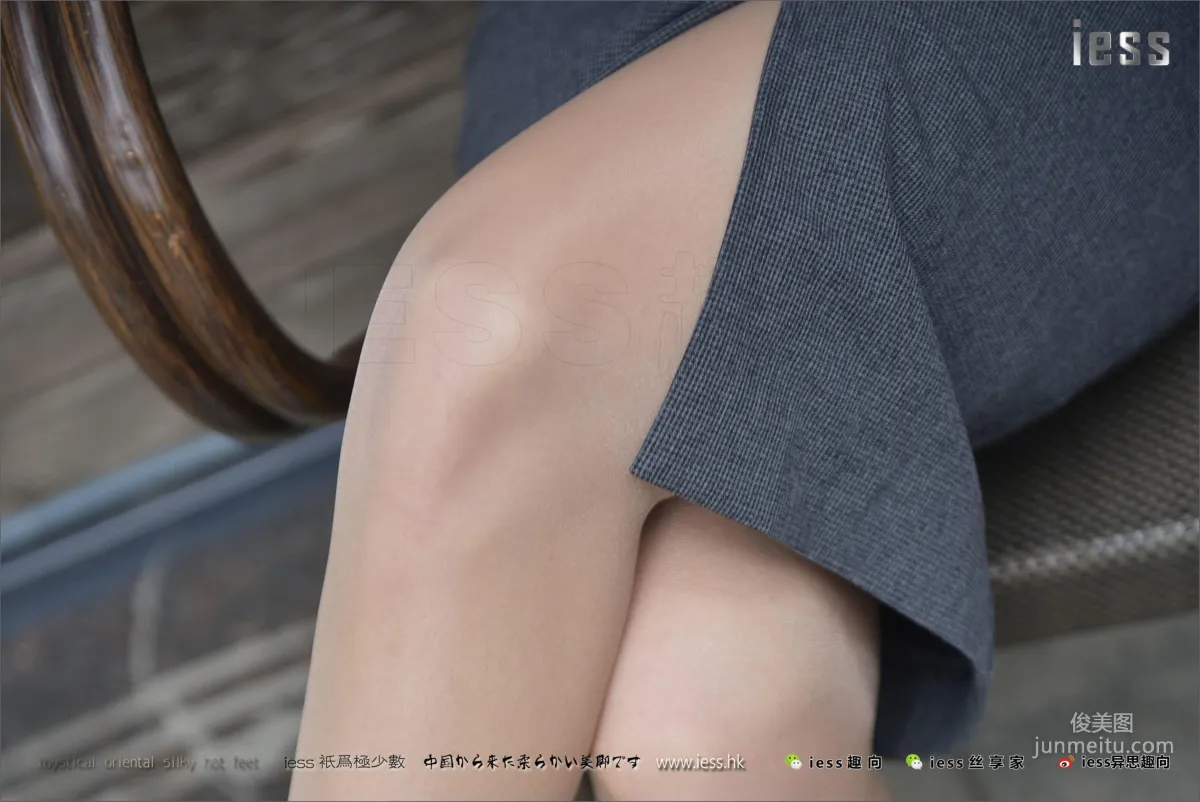 Zhao Laoshi: IESS No. 131 photo 57