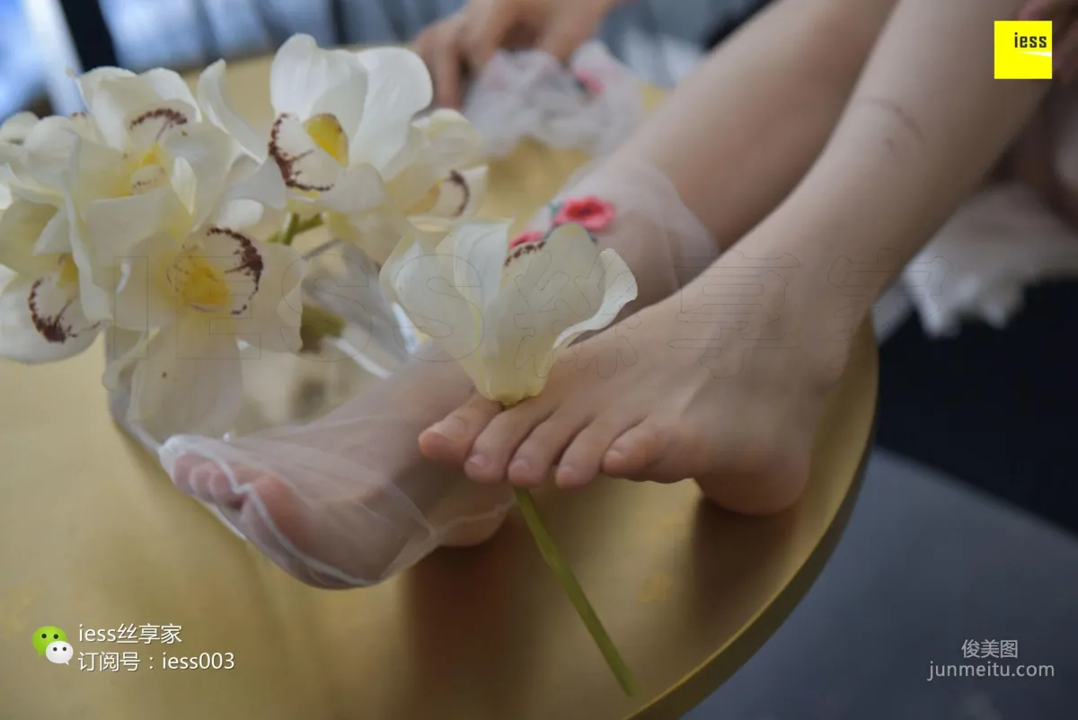 Silk Enjoyer 050 Jia Jia "Jia Jia Jia Ye" [IESS] Photo Set photo 83
