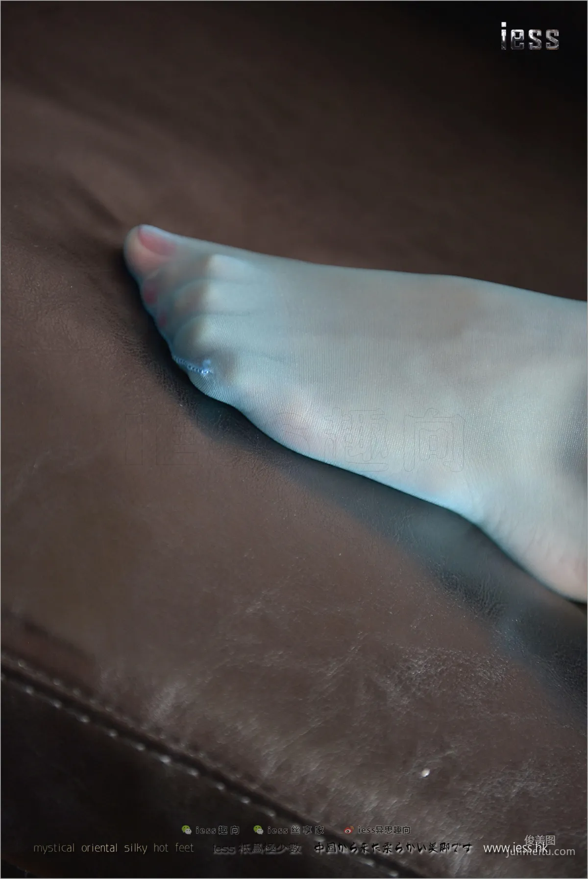 Silk Stockings Bento 141 Shan Shan [Blue Taste] [IESS] Photo Set photo 54