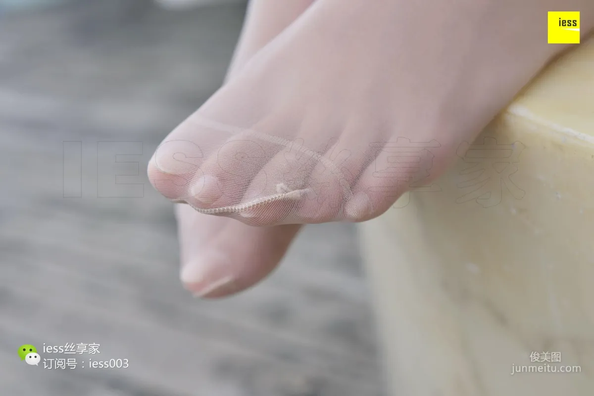 Wan Ping: IESS No. 039 photo 2
