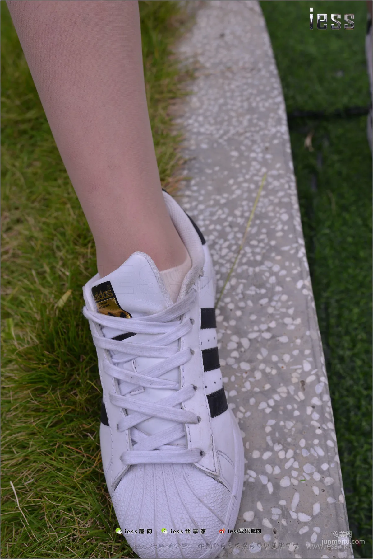 Silk Feet Bento 172 Yuan Shushu, Stockings Cotton Socks Shell Toe Double Eleven Special [IESS] Photo Set photo 59