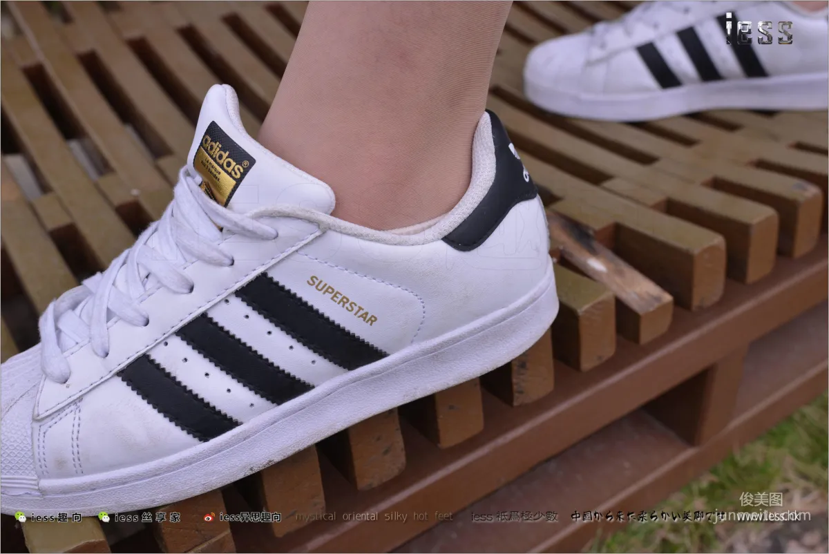 Silk Feet Bento 172 Yuan Shushu, Stockings Cotton Socks Shell Toe Double Eleven Special [IESS] Photo Set photo 43