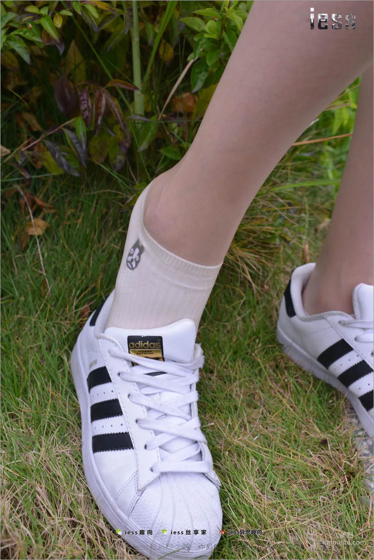 Silk Feet Bento 172 Yuan Shushu, Stockings Cotton Socks Shell Toe Double Eleven Special [IESS] Photo Set photo 76