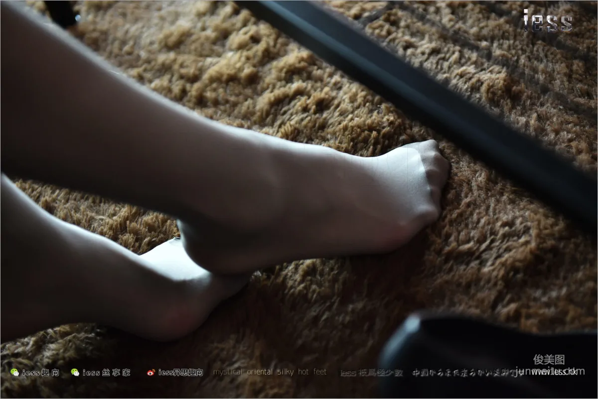 Wei Wei: IESS No. 169 photo 42