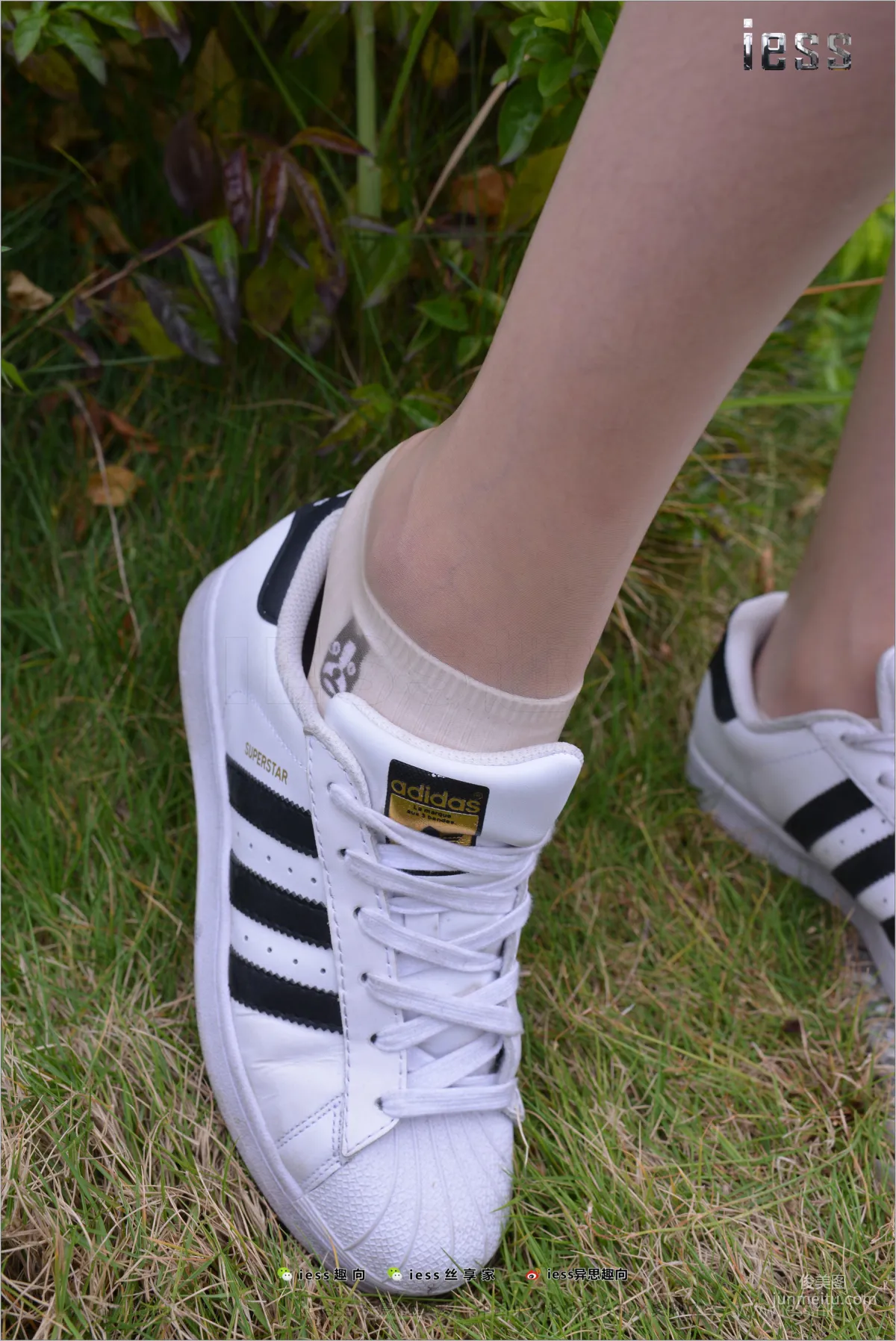 Silk Feet Bento 172 Yuan Shushu, Stockings Cotton Socks Shell Toe Double Eleven Special [IESS] Photo Set photo 75