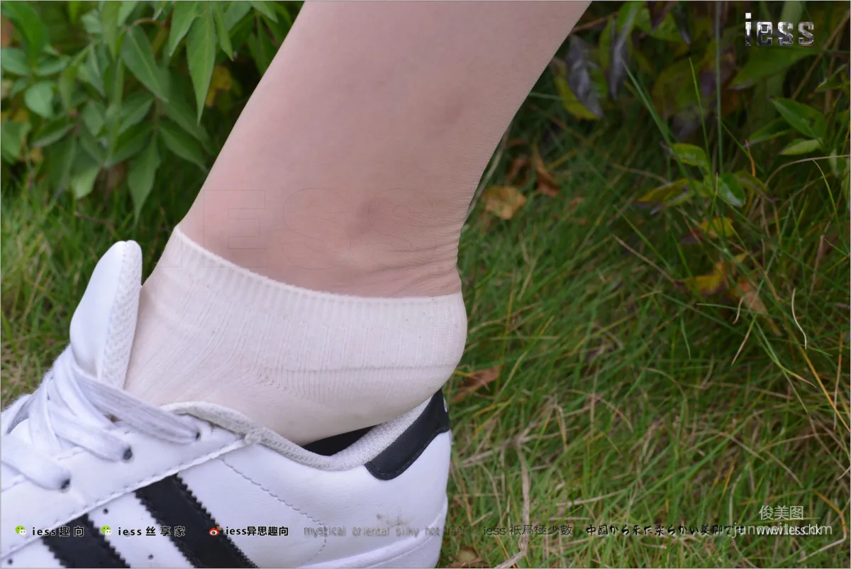 Silk Feet Bento 172 Yuan Shushu, Stockings Cotton Socks Shell Toe Double Eleven Special [IESS] Photo Set photo 81