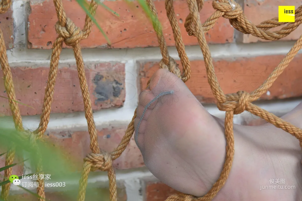 Stockings Lover 104 Cousin, Tattooed Legs Teasing Hemp Rope [IESS] Photo Set photo 4