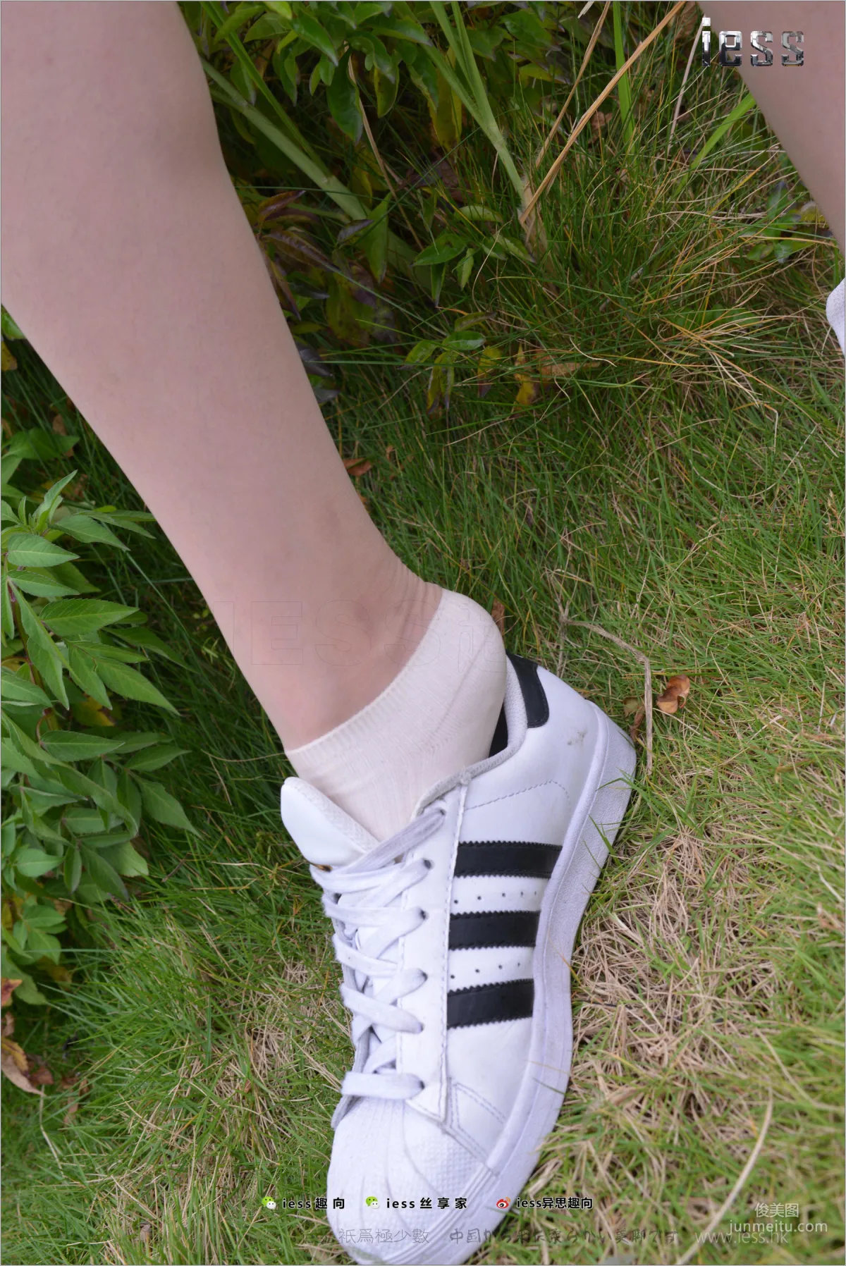 Silk Feet Bento 172 Yuan Shushu, Stockings Cotton Socks Shell Toe Double Eleven Special [IESS] Photo Set photo 80