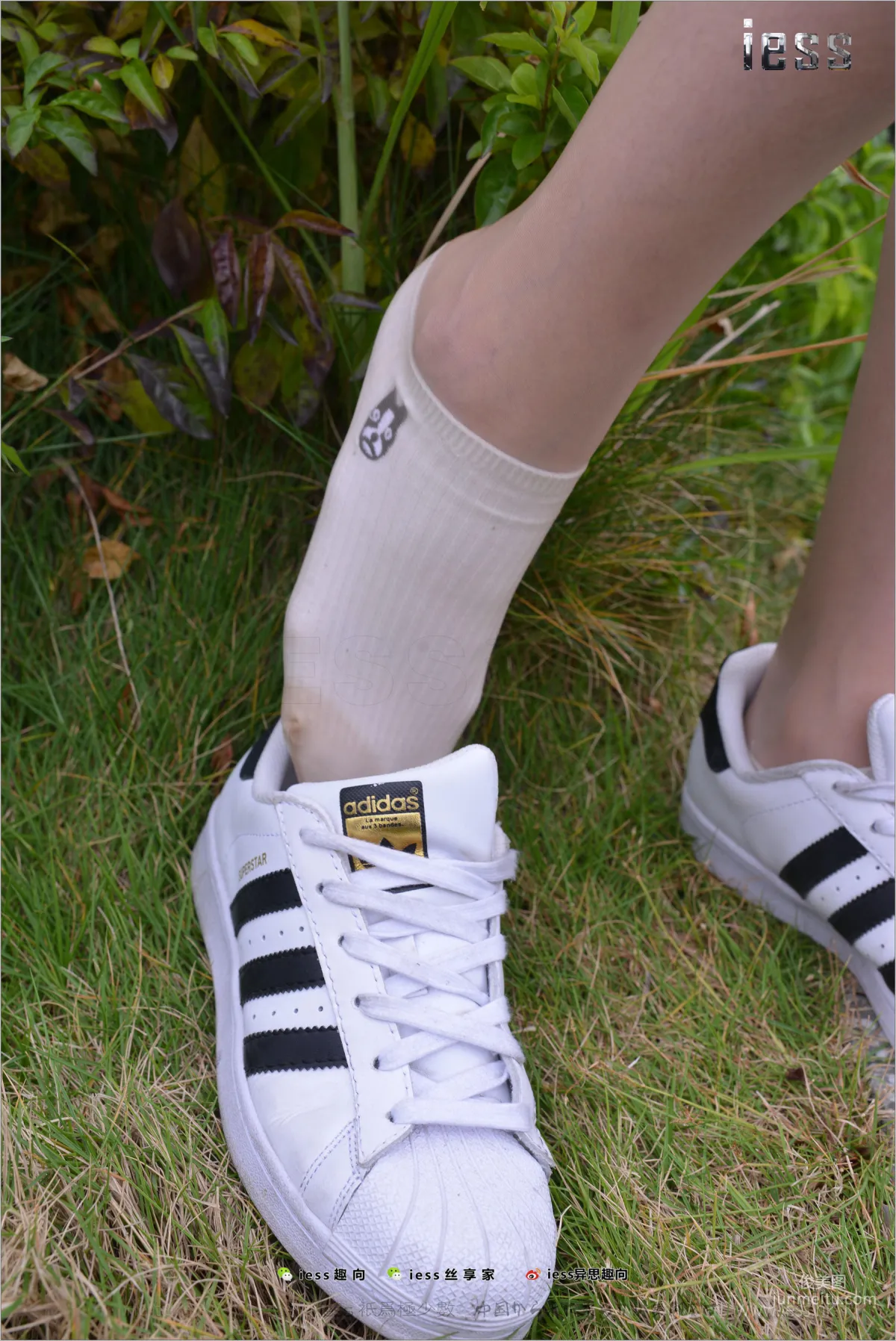 Silk Feet Bento 172 Yuan Shushu, Stockings Cotton Socks Shell Toe Double Eleven Special [IESS] Photo Set photo 77