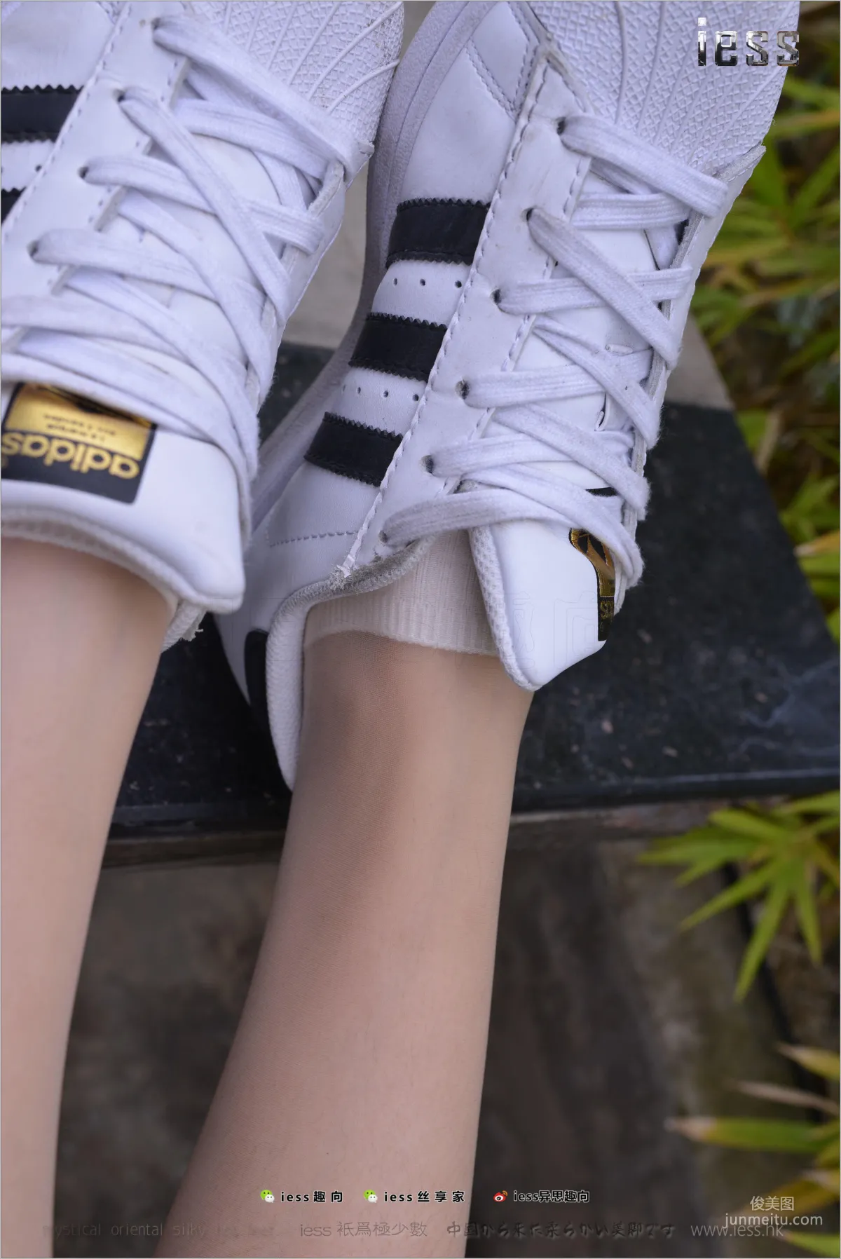 Silk Feet Bento 172 Yuan Shushu, Stockings Cotton Socks Shell Toe Double Eleven Special [IESS] Photo Set photo 94
