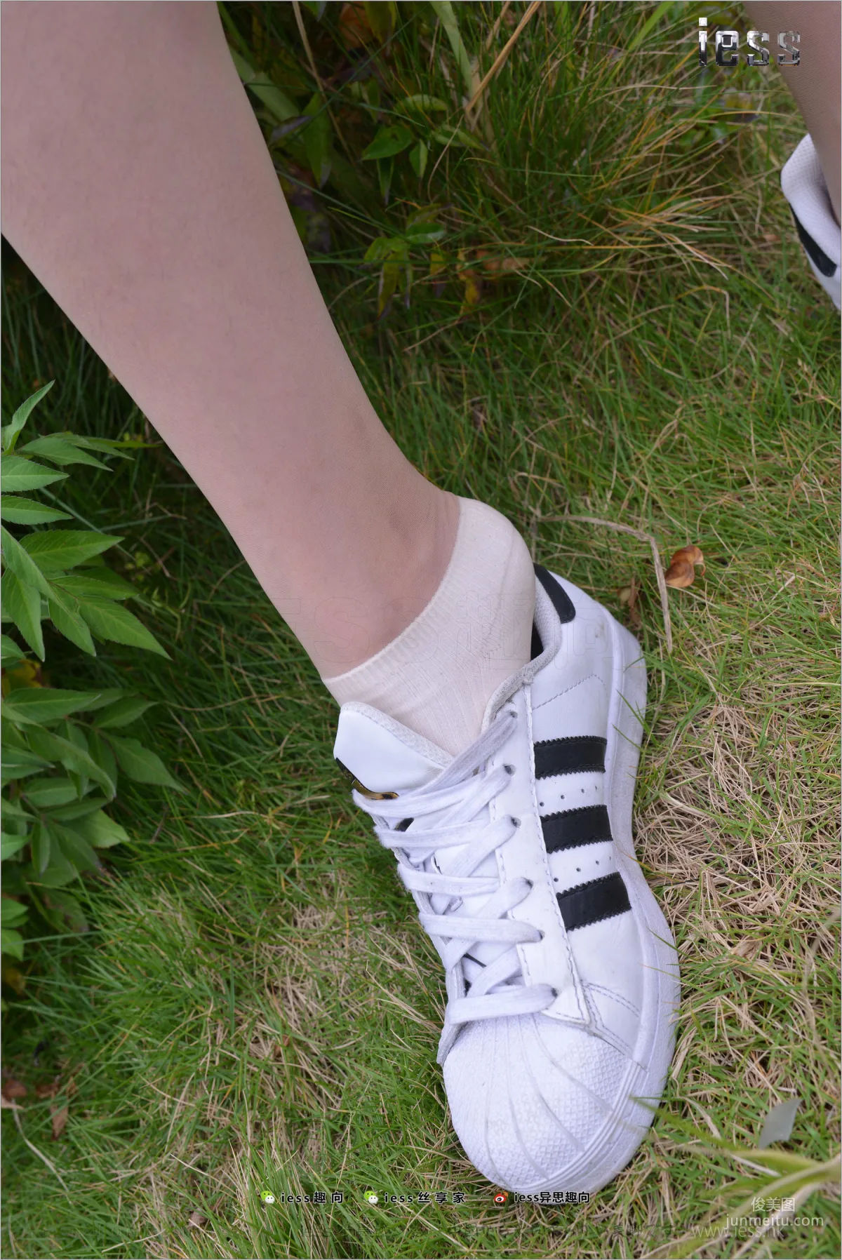 Silk Feet Bento 172 Yuan Shushu, Stockings Cotton Socks Shell Toe Double Eleven Special [IESS] Photo Set photo 82