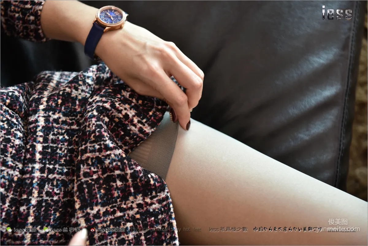 Wei Wei: IESS No. 169 photo 83