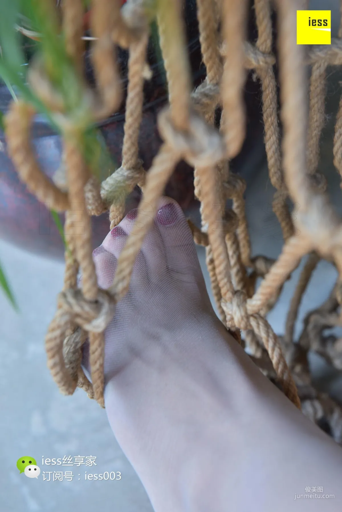 Stockings Lover 104 Cousin, Tattooed Legs Teasing Hemp Rope [IESS] Photo Set photo 78