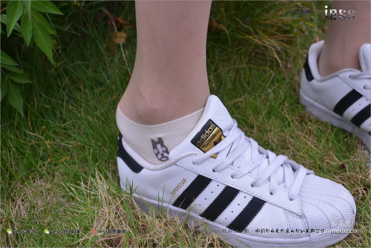 Silk Feet Bento 172 Yuan Shushu, Stockings Cotton Socks Shell Toe Double Eleven Special [IESS] Photo Set photo 73