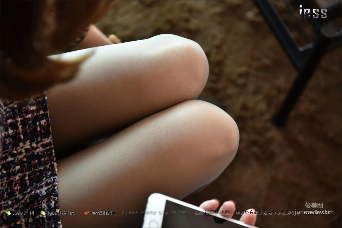 Wei Wei: IESS No. 169 photo 82