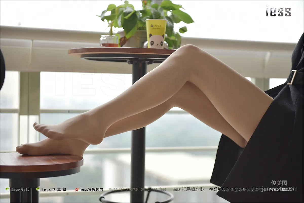 Xiao Liu: IESS No. 175 photo 55